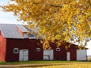 8th Nov 2011 - Another Barn