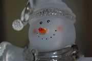 30th Nov 2011 - Meet Frosty