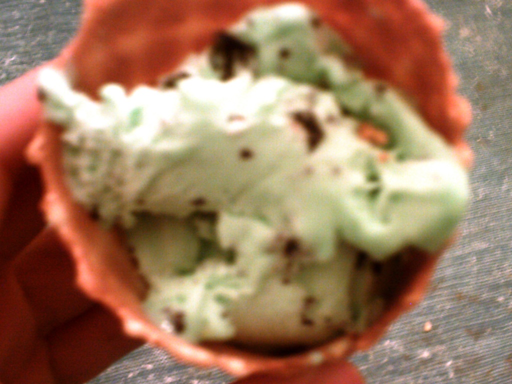 Mint Chocolate Chip Ice Cream in Cone 12.2.11  by sfeldphotos