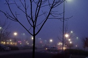 2nd Dec 2011 - Groceries Before Dawn in the Bone Chilling Fog