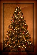 2nd Dec 2011 - O Christmas Tree