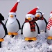 Penguin Friends by herussell