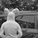 This Rabbit Arrived To The Wrong Holiday... by seattle