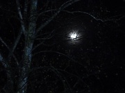 4th Dec 2011 - Moonlight again
