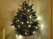 2nd Dec 2011 - The Holiday Season has begun!