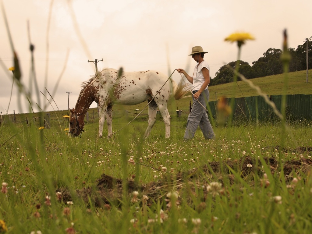 Grazing I by peterdegraaff