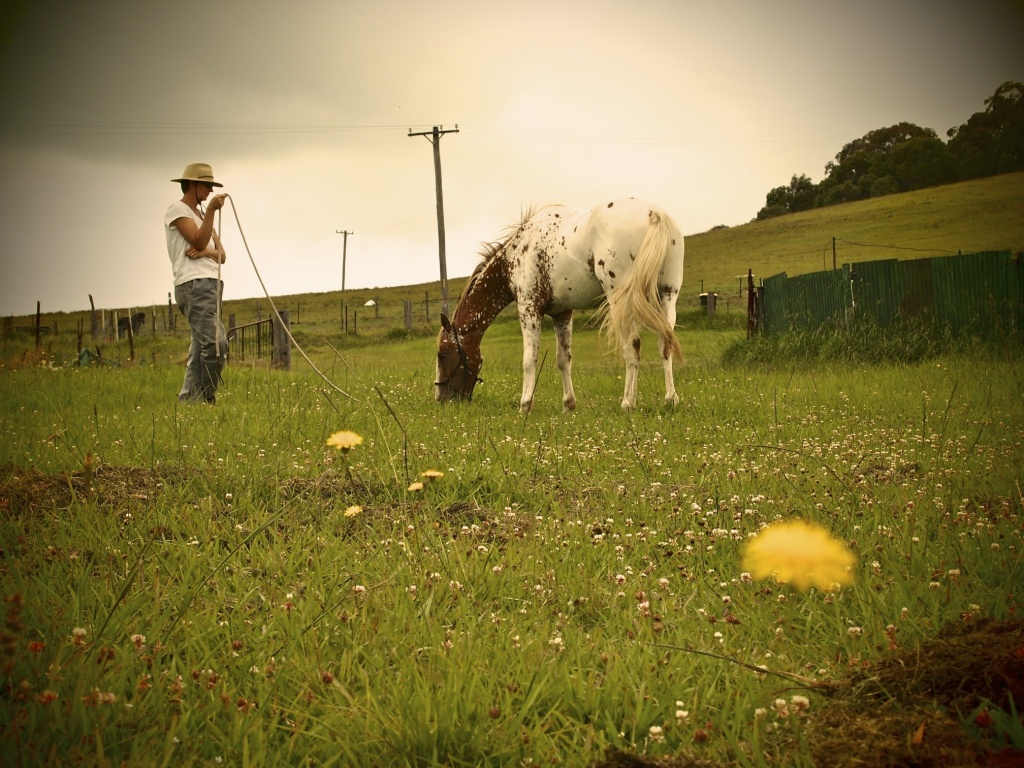 Grazing III by peterdegraaff