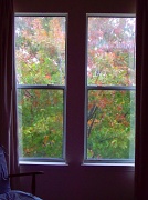 4th Dec 2011 - Bedroom window
