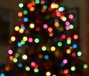 5th Dec 2011 - Christmas tree bokeh