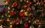 6th Dec 2011 - Oh, Christmas tree