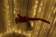 5th Dec 2011 - Acrobatic Elf