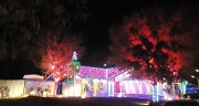 3rd Dec 2011 - Extreme Christmas Lights
