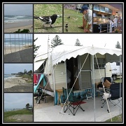 5th Dec 2011 - Kingscliffe Camping Area - NSW