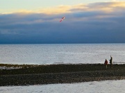 5th Dec 2011 - Let's Go Fly A Kite!