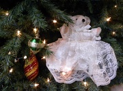 6th Dec 2011 - O Christmas Tree