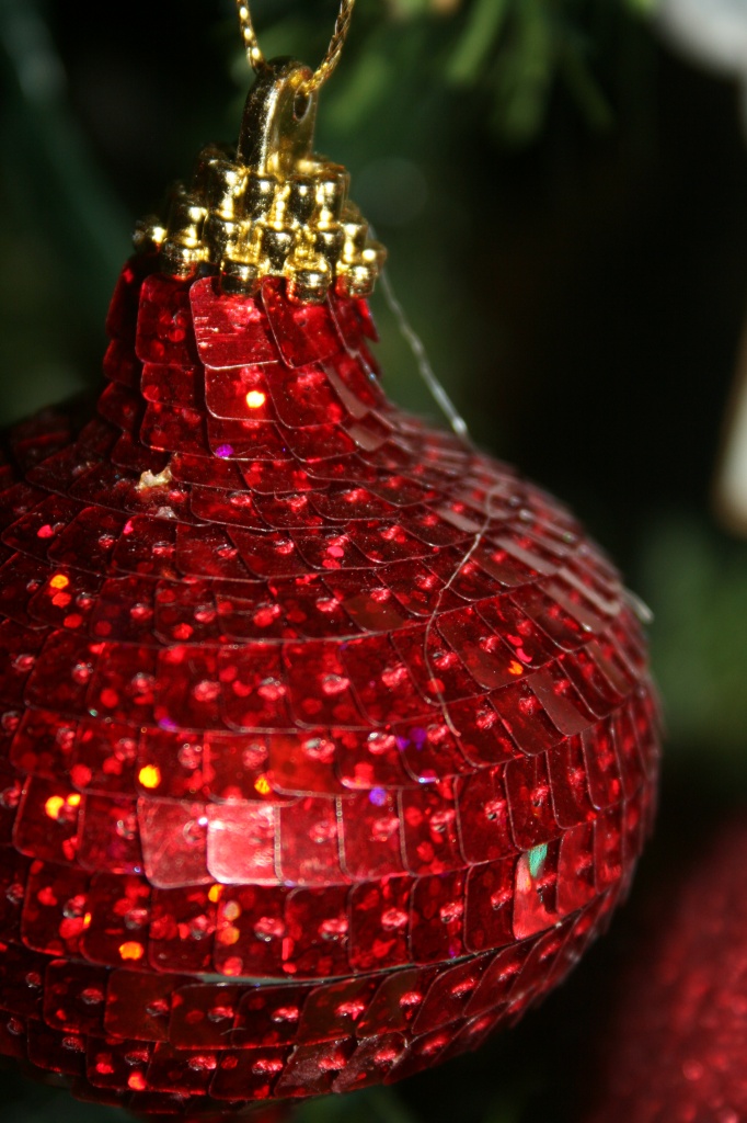 bauble by corymbia