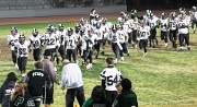 27th Oct 2011 - Taking the Field