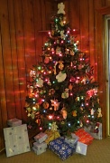 7th Dec 2011 - O Christmas Tree