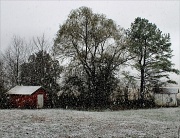 7th Dec 2011 - First snow
