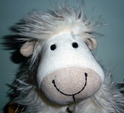3rd Dec 2011 - Sheep