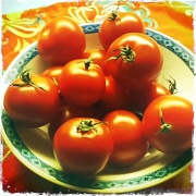 9th Dec 2011 - The Tomato Lover's Tomato