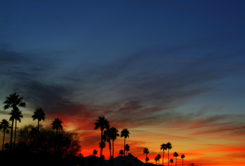 Sunset Sonoran Style by kerristephens