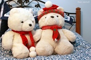 5th Dec 2011 - “Santa Bears”
