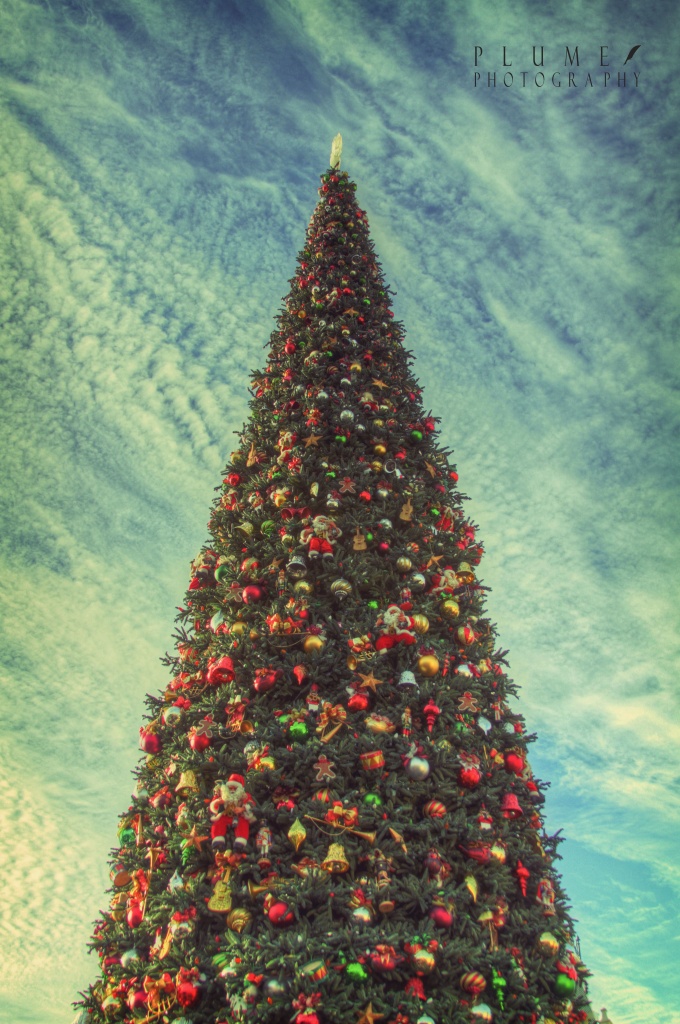  O' Christmas Tree by orangecrush