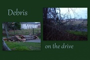 9th Dec 2011 - December debris on the drive