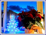 9th Dec 2011 - Christmas windowsill