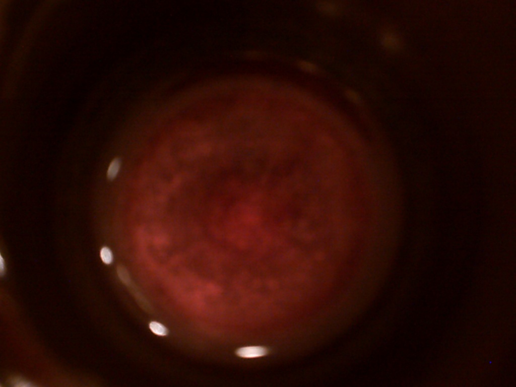 Cup of Grape Juice 12.9.11 by sfeldphotos