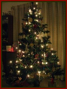 9th Dec 2011 - Our Tree