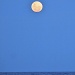 Apricot Moon by peterdegraaff