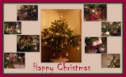11th Dec 2011 - Happy Christmas