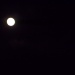 The Moon by rosbush