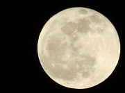 10th Dec 2011 - Long Night Moon