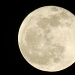 Long Night Moon by grammyn