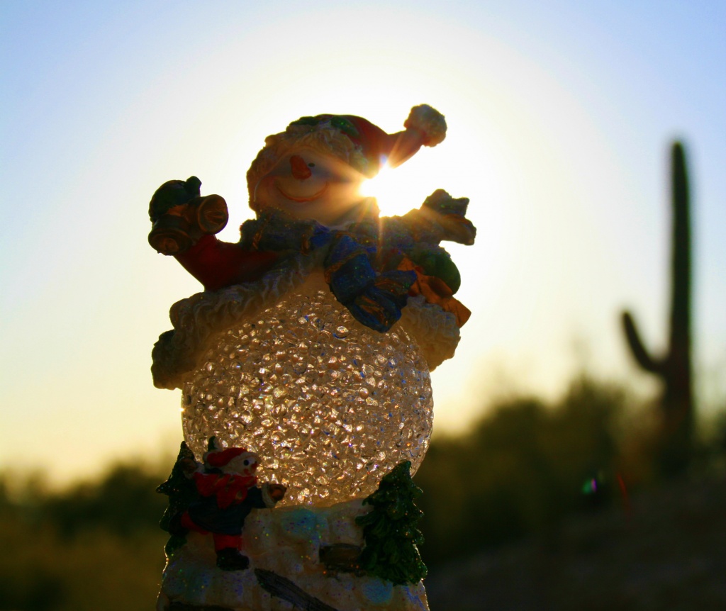 Sonoran Snowman by kerristephens