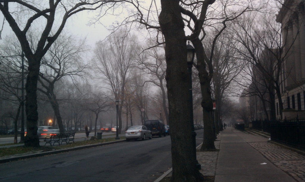 fog! by pleiotropy