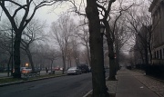 5th Dec 2011 - fog!