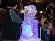 10th Dec 2011 - Ice Artist
