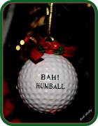11th Dec 2011 - Bah!  Humball