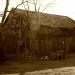 Barn in sepia by mittens