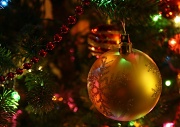 11th Dec 2011 - Ornament
