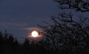 10th Dec 2011 - Big moon