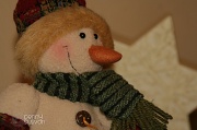4th Dec 2011 - I love Snowmen. 338_27_2011