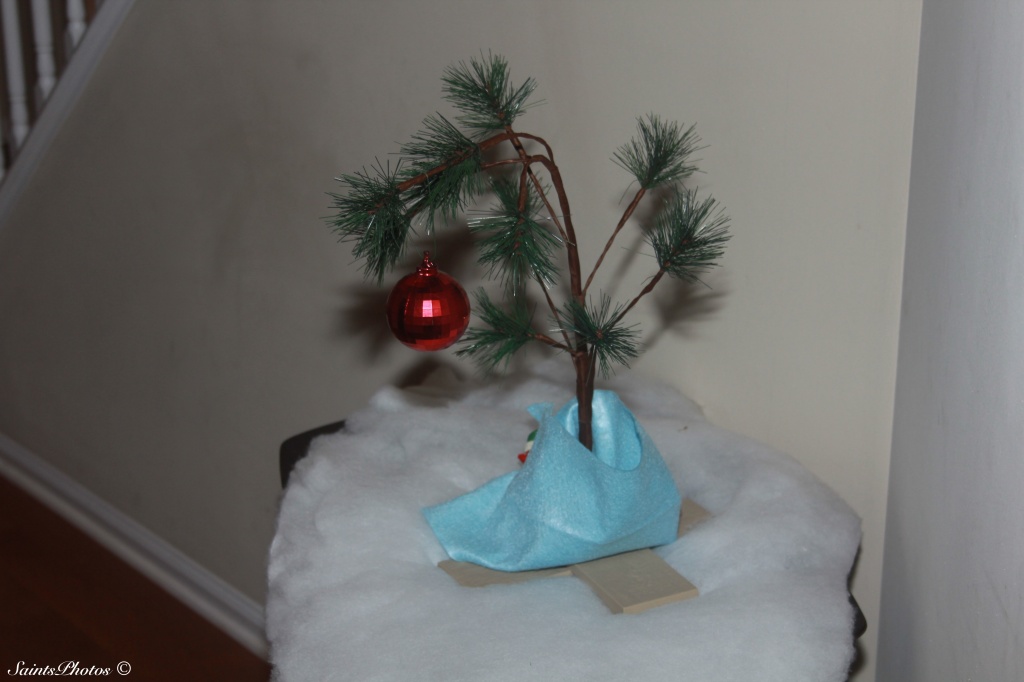 "Charlie Brown" Christmas tree by stcyr1up