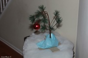 8th Dec 2011 - "Charlie Brown" Christmas tree