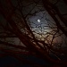 Full moon by dora