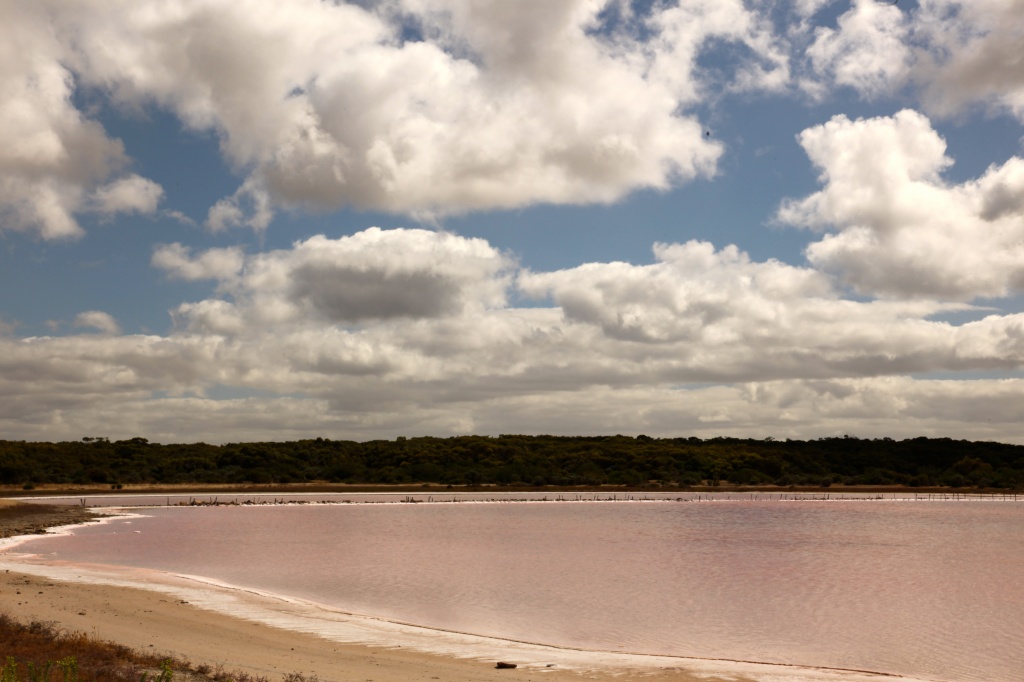 My first day in South Australia I posted a very blue lake, my last day a pink lake by lbmcshutter